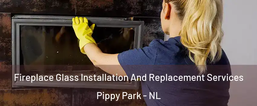  Fireplace Glass Installation And Replacement Services Pippy Park - NL
