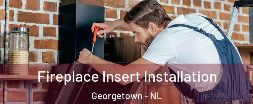  Fireplace Insert Installation Georgetown - NL