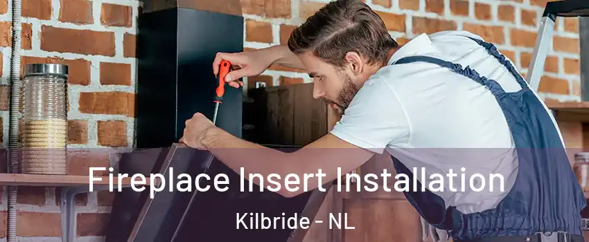  Fireplace Insert Installation Kilbride - NL