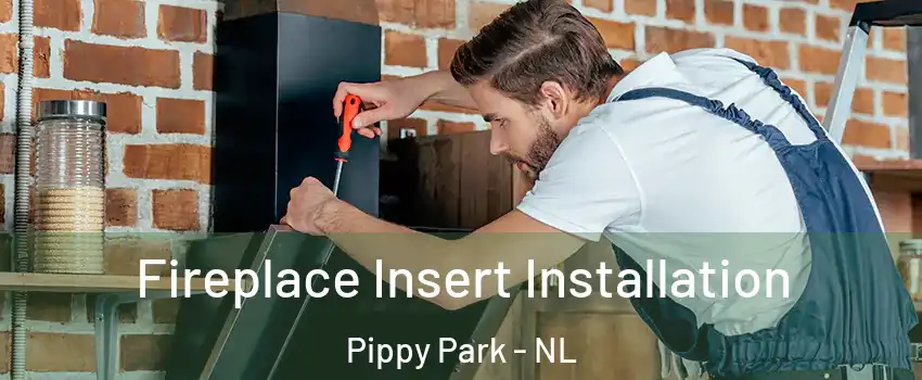  Fireplace Insert Installation Pippy Park - NL