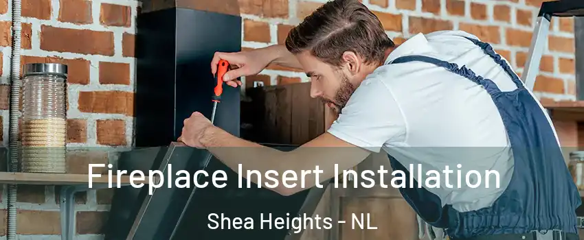  Fireplace Insert Installation Shea Heights - NL
