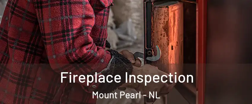  Fireplace Inspection Mount Pearl - NL