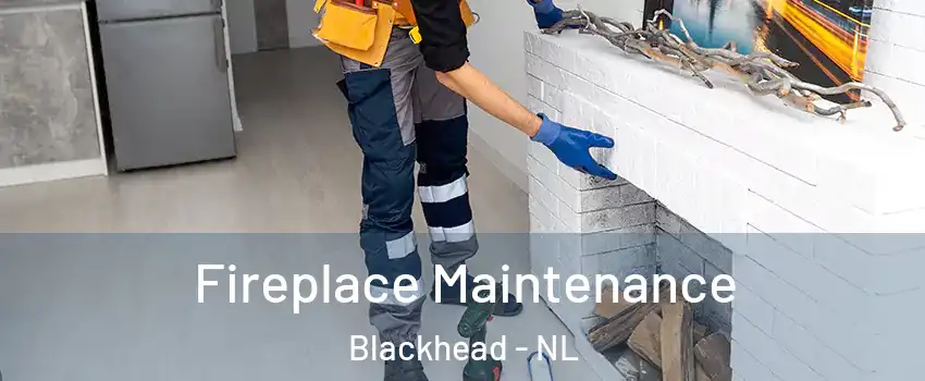  Fireplace Maintenance Blackhead - NL