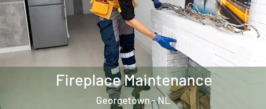  Fireplace Maintenance Georgetown - NL