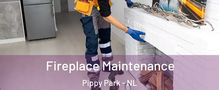  Fireplace Maintenance Pippy Park - NL