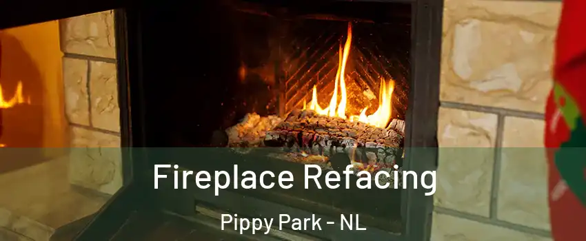  Fireplace Refacing Pippy Park - NL