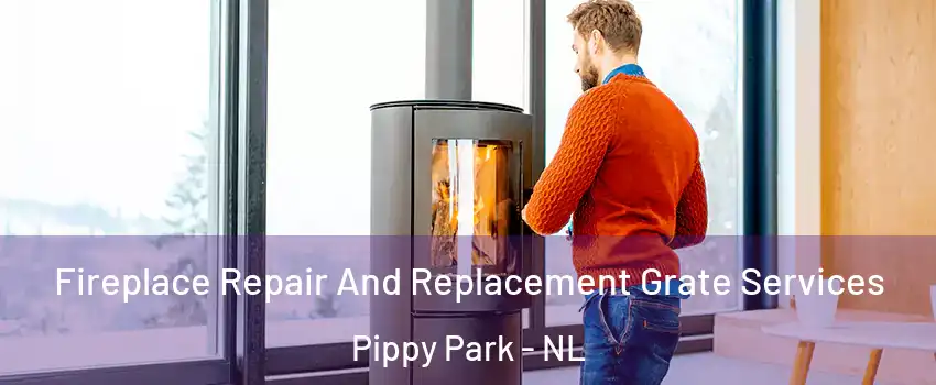  Fireplace Repair And Replacement Grate Services Pippy Park - NL