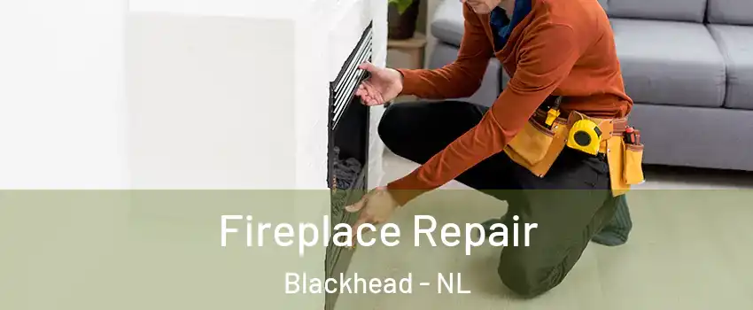  Fireplace Repair Blackhead - NL