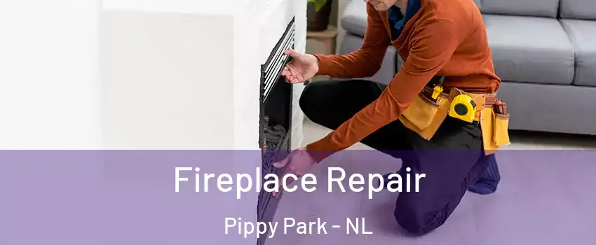  Fireplace Repair Pippy Park - NL