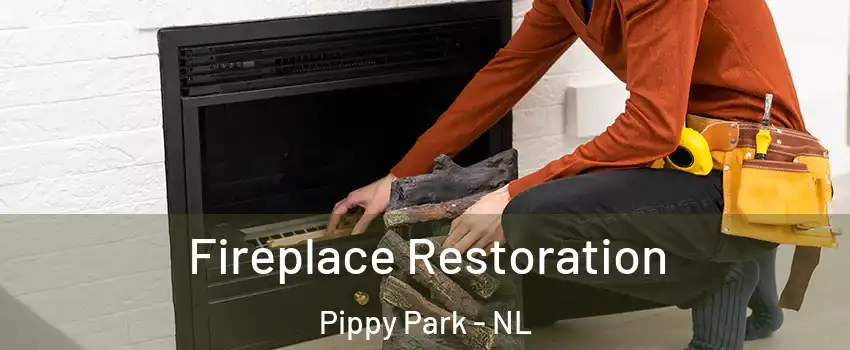  Fireplace Restoration Pippy Park - NL