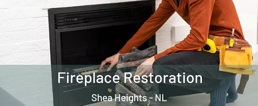  Fireplace Restoration Shea Heights - NL