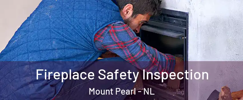 Fireplace Safety Inspection Mount Pearl - NL