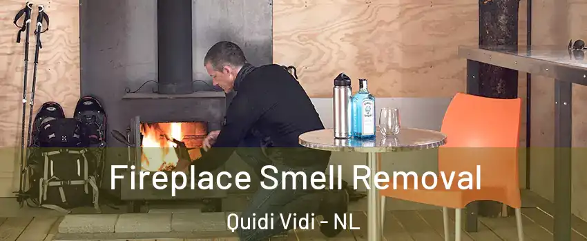  Fireplace Smell Removal Quidi Vidi - NL
