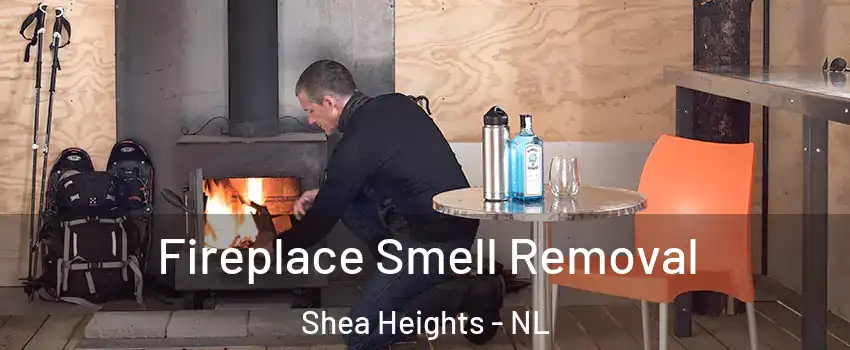  Fireplace Smell Removal Shea Heights - NL