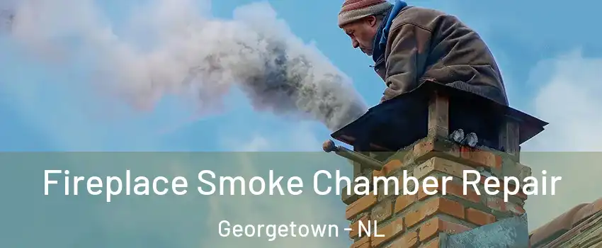  Fireplace Smoke Chamber Repair Georgetown - NL