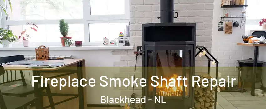  Fireplace Smoke Shaft Repair Blackhead - NL
