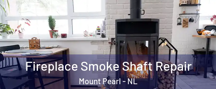  Fireplace Smoke Shaft Repair Mount Pearl - NL