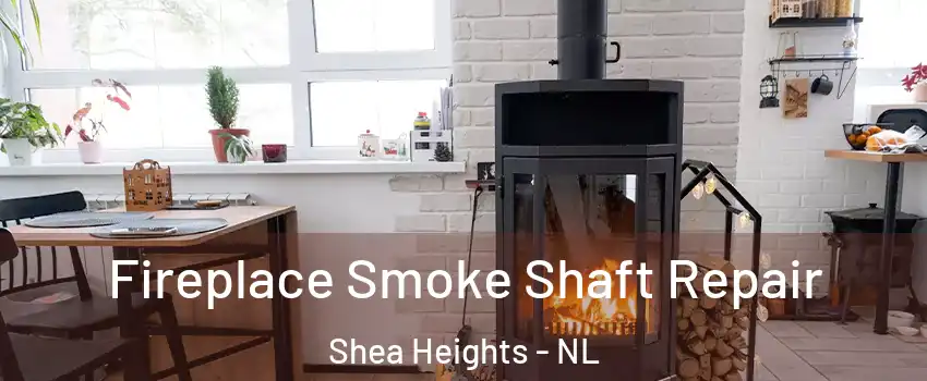  Fireplace Smoke Shaft Repair Shea Heights - NL