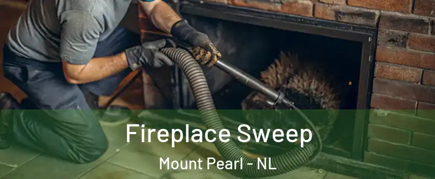  Fireplace Sweep Mount Pearl - NL
