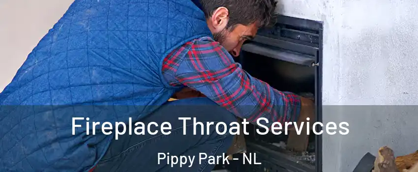  Fireplace Throat Services Pippy Park - NL