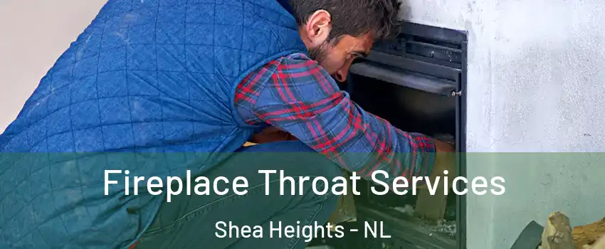  Fireplace Throat Services Shea Heights - NL