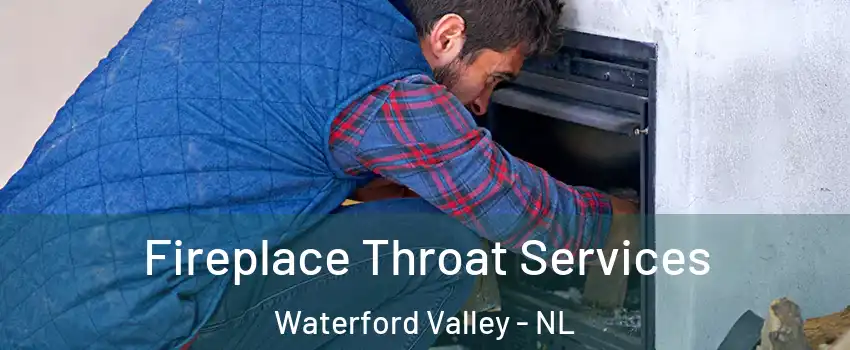  Fireplace Throat Services Waterford Valley - NL