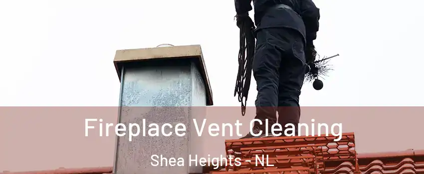  Fireplace Vent Cleaning Shea Heights - NL