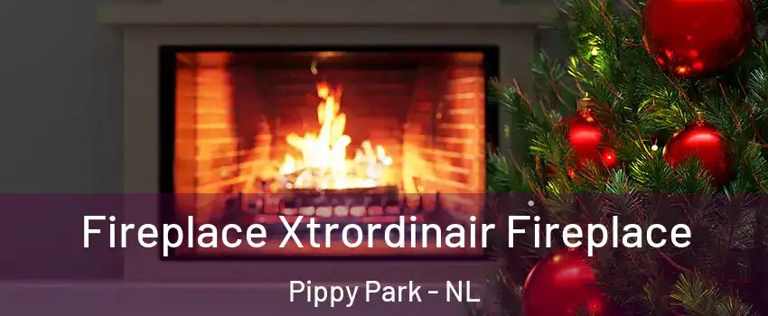 Fireplace Xtrordinair Fireplace Pippy Park - NL