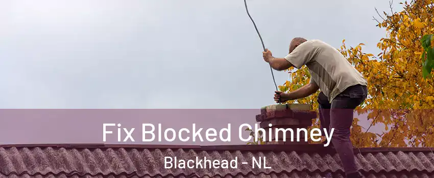  Fix Blocked Chimney Blackhead - NL
