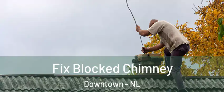  Fix Blocked Chimney Downtown - NL