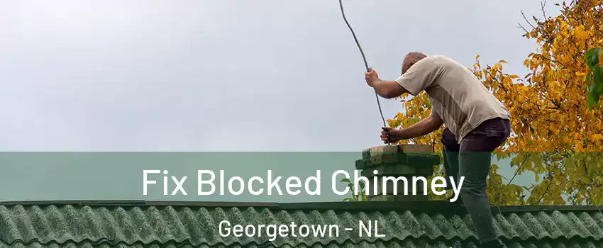  Fix Blocked Chimney Georgetown - NL