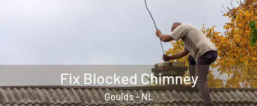  Fix Blocked Chimney Goulds - NL