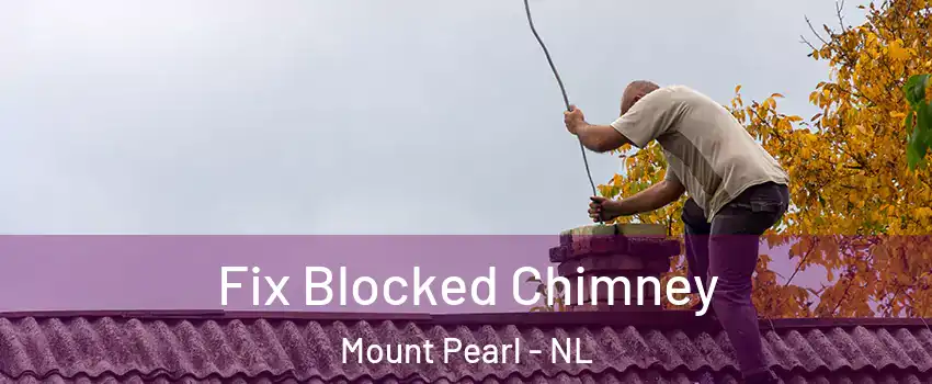  Fix Blocked Chimney Mount Pearl - NL