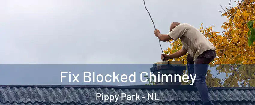  Fix Blocked Chimney Pippy Park - NL