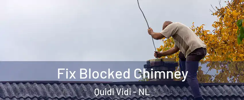  Fix Blocked Chimney Quidi Vidi - NL