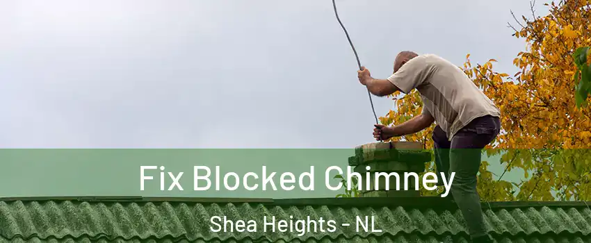  Fix Blocked Chimney Shea Heights - NL
