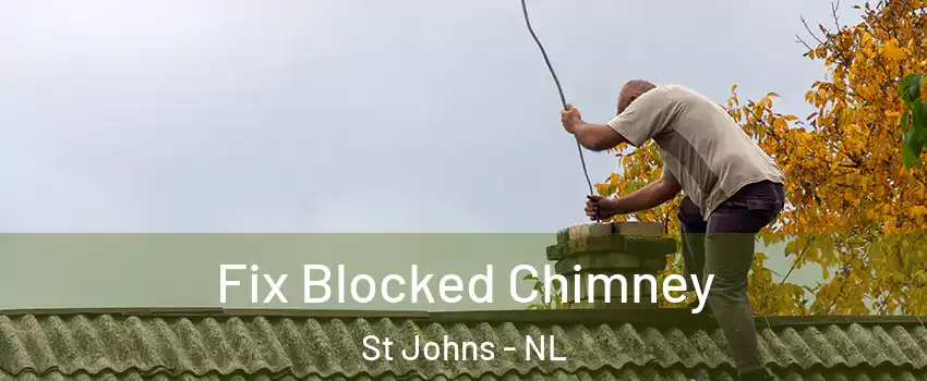  Fix Blocked Chimney St Johns - NL