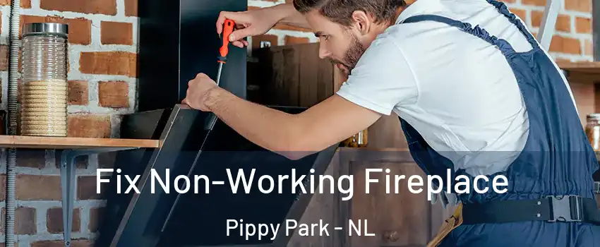  Fix Non-Working Fireplace Pippy Park - NL