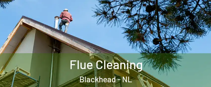  Flue Cleaning Blackhead - NL