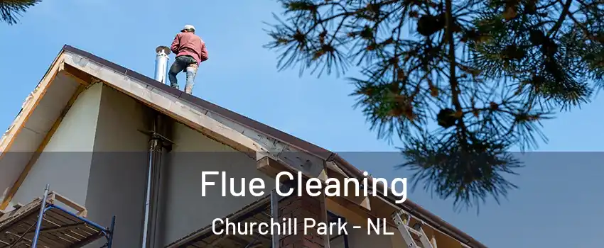  Flue Cleaning Churchill Park - NL