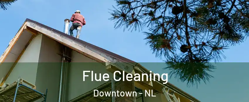  Flue Cleaning Downtown - NL