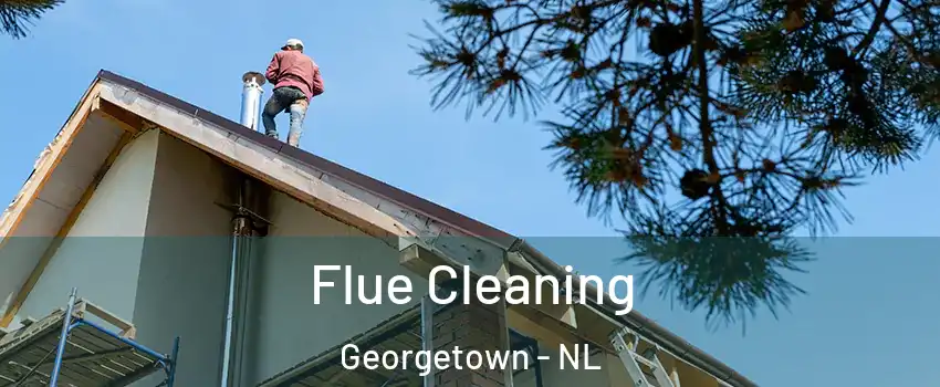  Flue Cleaning Georgetown - NL