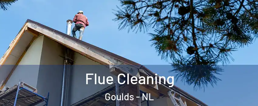  Flue Cleaning Goulds - NL