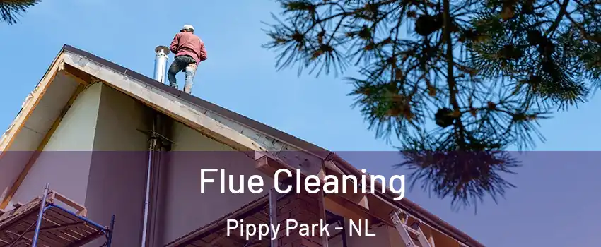  Flue Cleaning Pippy Park - NL