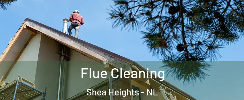  Flue Cleaning Shea Heights - NL