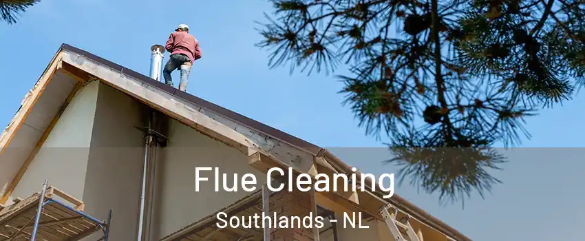  Flue Cleaning Southlands - NL