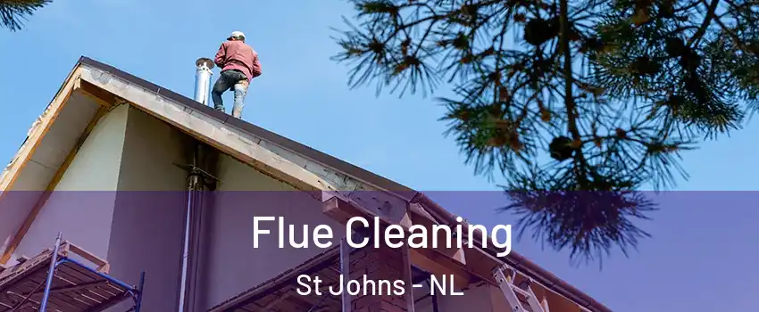  Flue Cleaning St Johns - NL