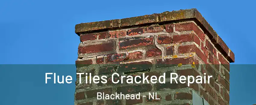  Flue Tiles Cracked Repair Blackhead - NL