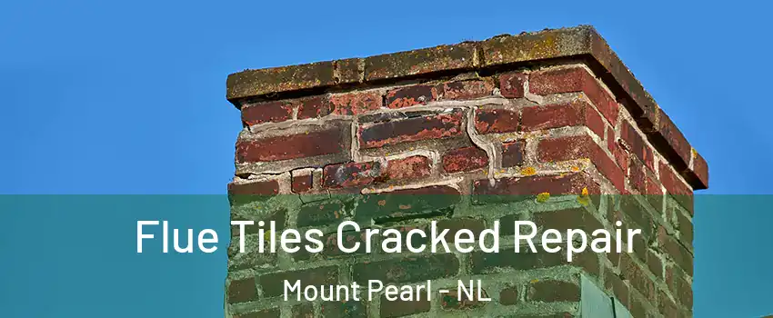  Flue Tiles Cracked Repair Mount Pearl - NL
