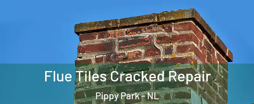  Flue Tiles Cracked Repair Pippy Park - NL